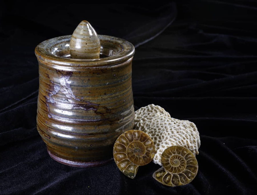 Ceramic jar with ammonites by Fawn Bruzan