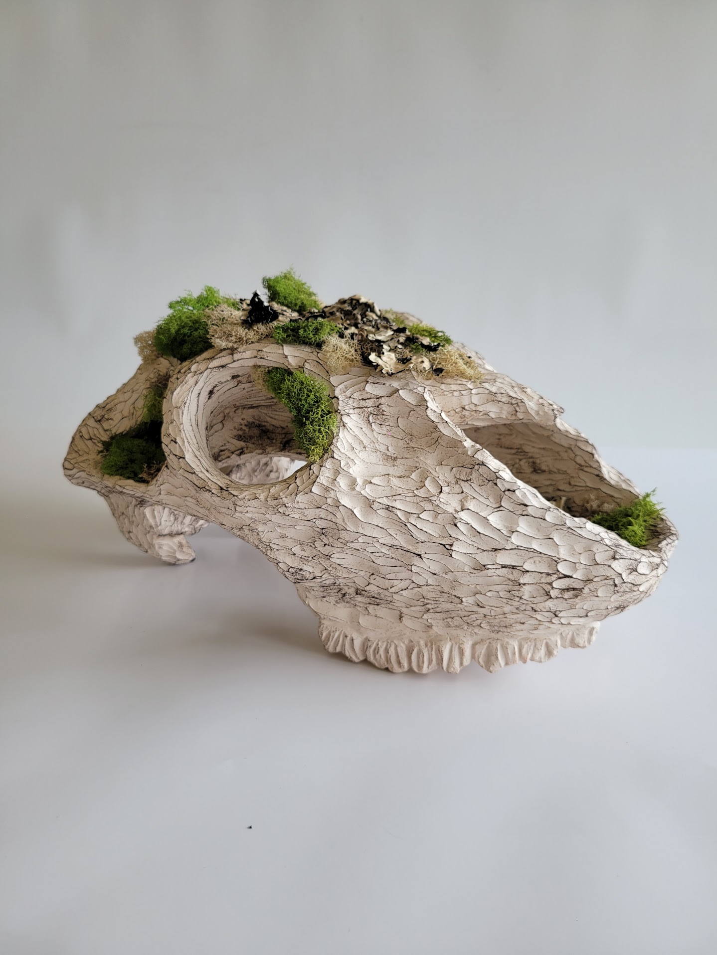 Skull ceramic artwork